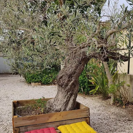 Les Cigales Apartment *